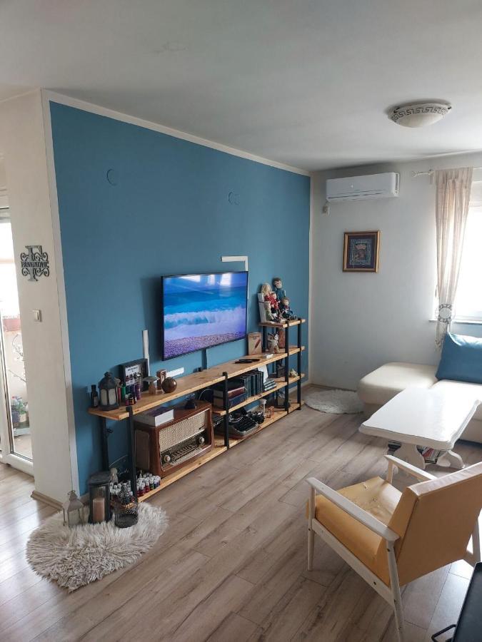 Apartments Franny 诺维·维诺多尔斯基 外观 照片