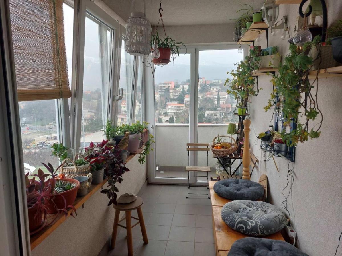 Apartments Franny 诺维·维诺多尔斯基 外观 照片