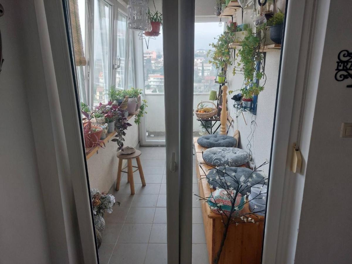Apartments Franny 诺维·维诺多尔斯基 外观 照片