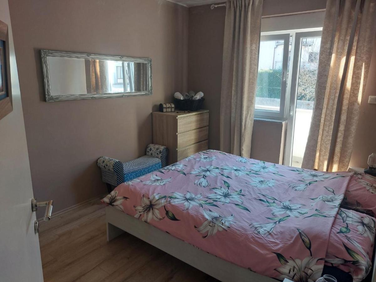 Apartments Franny 诺维·维诺多尔斯基 外观 照片